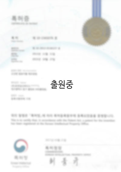 1020170093005