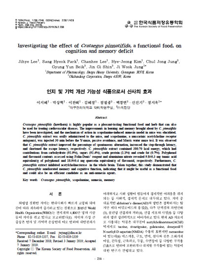 논문